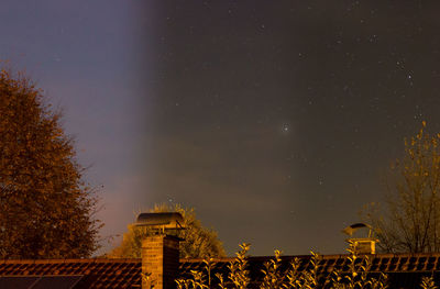 Low angle view of trees against sky at night