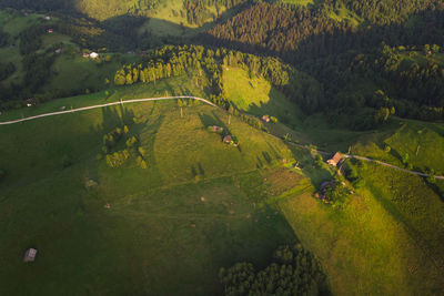 High angle view of agricultural field