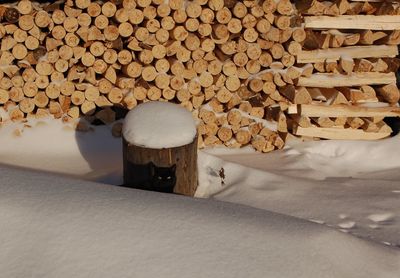 Stack of logs