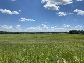 Scenic view of field against sky