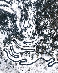 Directly above shot road amidst trees on snow covered field