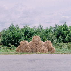 Hay bales on field against sky