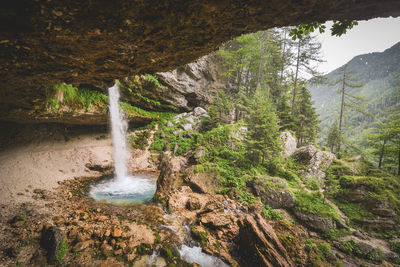 Scenic view of waterfall in forest