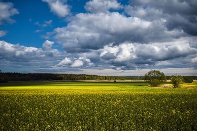 Scenic view of field against cloudy sky