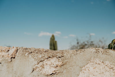 Rear view of man on rock against sky