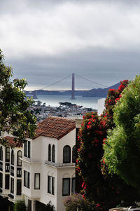 Golden gate bridge over sea