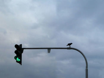 Low angle view of bird perching on street light