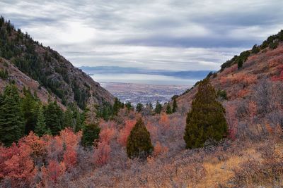 Slate canyon views from hiking trail fall, provo peak, slide rock canyon, wasatch  front, utah usa