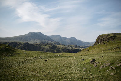 Scenic view of landscape against sky