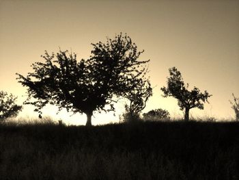 field
