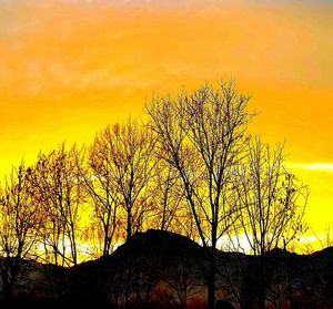 Silhouette tree against sky during sunset