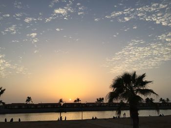 Silhouette palm trees on beach against sky during sunset