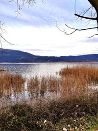 Scenic view of lake against sky