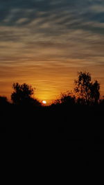 Silhouette trees against orange sky