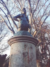 Low angle view of man against tree