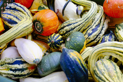 High angle view of pumpkins for sale at market