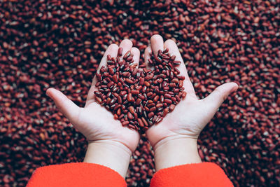 Cropped hands of woman holding beans in shop