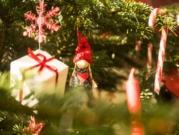 Close-up of christmas tree