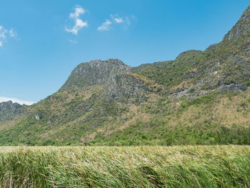 On clear days, mountains, skies and grass, when looking, it makes you feel fresh.