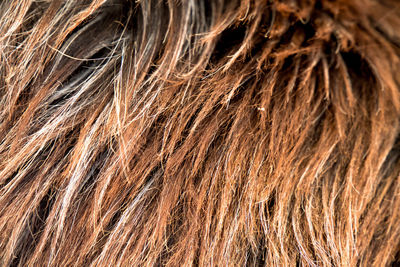 Full frame shot of animal hair