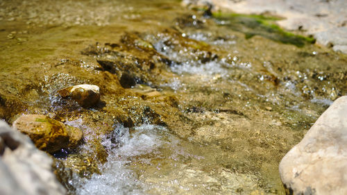 High angle view of water flowing through rocks