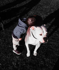 High angle view of baby boy with dog standing on field