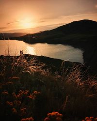 Scenic view of sea against sky during sunset