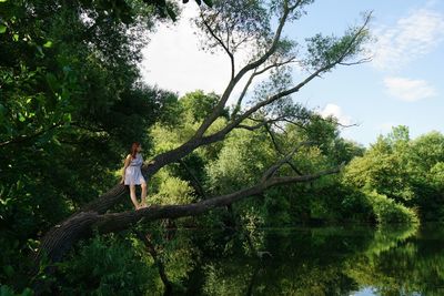 Full length of woman in dress standing on tree over lake