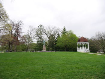 Trees on grassy field