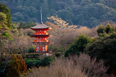 Illuminated temple against trees