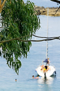 Boat moored on sea