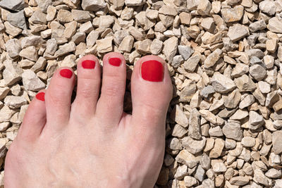 Midsection of woman hand holding red pebbles