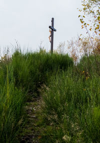 Rear view of woman standing on field against sky