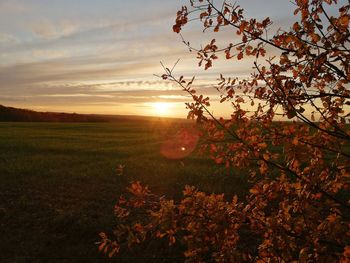 Scenic view of field against sky during sunset