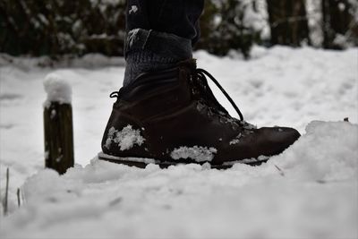 Low section of person standing on snow