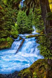 Scenic view of waterfall amidst trees against sky