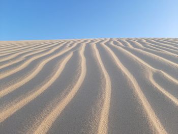 Pattern waves in desert of algeria