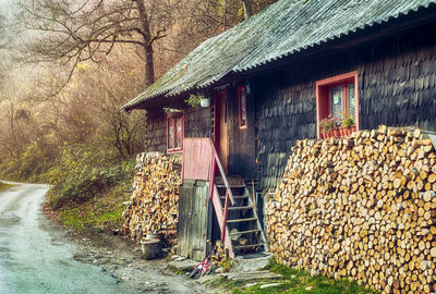 House amidst trees and plants in forest