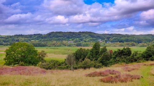 Scenic view of land against sky