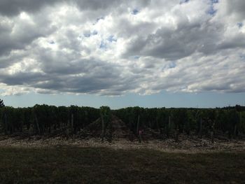 Scenic view of field against cloudy sky