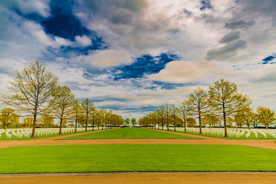 Trees on field against sky