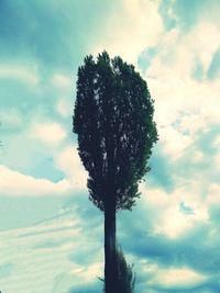 Low angle view of tree against cloudy sky