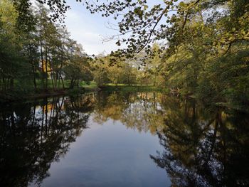 Reflection of trees in lake against sky in forest