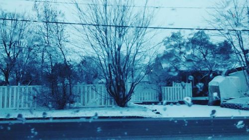 Bare trees in front of building