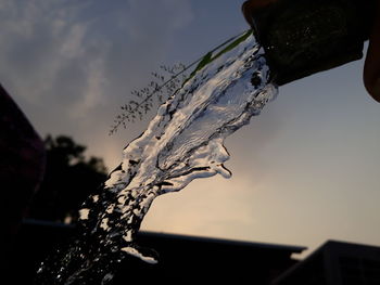 Close-up of frozen plant against sky