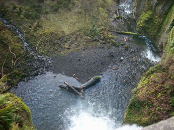 Water flowing through rocks in forest