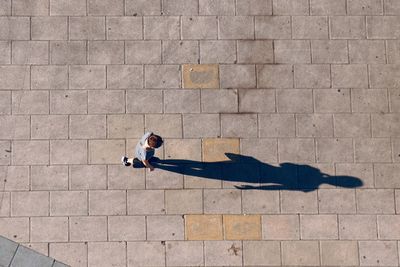 High angle view of dog on footpath