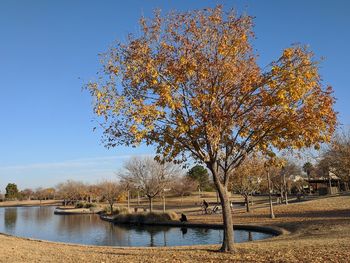 Scenic view of lake against clear sky during autumn