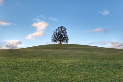 Scenic view of land against sky