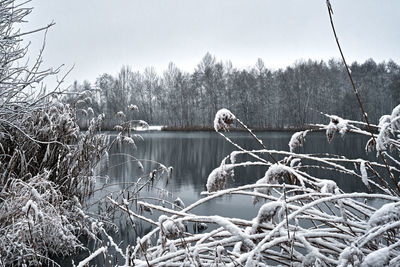 Scenic view of lake in forest during winter